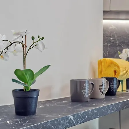 Apartamento Ponte Degli Angeli Modern And Apartment!
